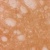 vesicular_glutam_4e9916cc09683 Products