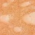 vesicular_glutam_4e9917bd3d431 Products